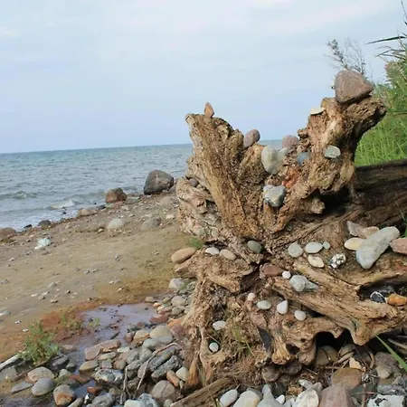 Appartamento Geraeumige Mit Terrasse In Kluetz *