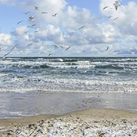 Geraeumige Mit Terrasse In Kluetz