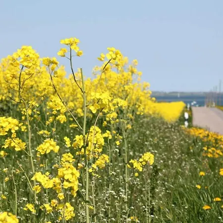 Appartamento Geraeumige Mit Terrasse In Kluetz *